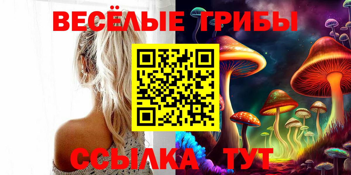 Галлюциногенные грибы мухоморы Анжеро-Судженск