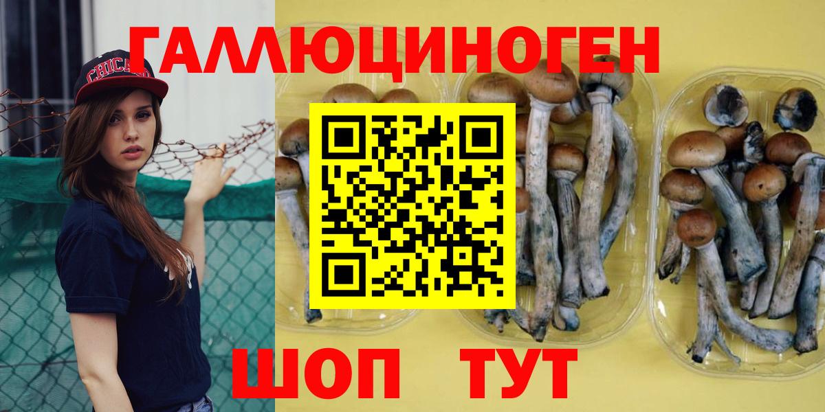 Галлюциногенные грибы Psilocybe  Псилоцибиновые грибы Psilocybine cubensis  Анжеро-Судженск  Вход с VPN 